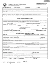 Blank Indiana Paternity Affidavit 44780 PDF Template
