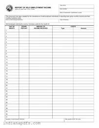 Blank Indiana State 43931 PDF Template